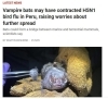 「鳥インフルエンザ（H5N1）の新たな感染経路に懸念―最新の研究報告より」