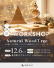 「トラインクラフト東寺町モデルハウスでナチュラルウッドツリー作りワークショップ🌲」