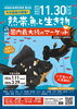 11/30はアクアリウムバス開催です「11/30は東京浅草に出店です」