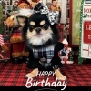 「11/28は末っ子エレちゃん2歳のBIRTHDAY🎂」