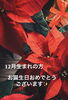 おめでとうございます🤍「❣️12月生まれの方❣️」