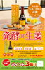 冬はホットで美味しく腸活生活「【期間限定】飲むだけで菌活！「発酵×生姜ドリンク」で冬の温活をはじめませんか？」