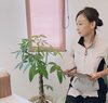 「はじめまして。／和歌山妊活」