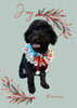 「Dog salon mofu mofu　余市町」