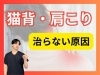 「【松江の整体院】猫背・肩こりの原因は胸やお腹の筋膜だった!?|肩首のマッサージでは変わらない｜理学療法士が最短改善への近道をお伝えします【出雲・米子・整体・根本改善】」