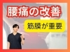「【慢性腰痛】腰の痛みの原因は背中の硬さだった...｜今まで腰を揉んでも変わらなかった原因｜理学療法士が語る背骨の重要性【松江・出雲・米子・整体・根本改善】」
