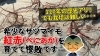 「時代を超えて愛される王道の味！　紅赤とアメリカ芋　原点の味が再評価です。　たねのハシモトミヤ」