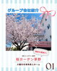 大きな桜が目印の介護付き有料老人ホームです🌸「茅野市の老人ホーム🌸カネトモのグループ会社をご紹介します☺️【おすすめの建設 会社(茅野市)求人募集中!】」