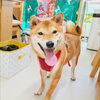 まめたちゃん「今日のお友達」