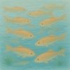 厥魚群（けつぎょむらがる）「🌊 七十二候「厥魚群（けつぎょむらがる）」— 魚たちが群れを成すころ」