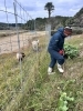 「菜の花からつながる、いのちとからだ。」「「土に触れ、未来の健康を育てる。」」