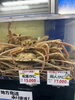 「＼京丹後の冬到来！幻の間人ガニと松葉ガニが驚きの超特価で勢揃いしています🦀／」