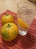 「期間限定！橙サワー🍊」