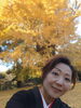 「西蓮寺の大銀杏🥰」