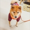うめちゃん「今日のお友達」