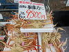 「【数量限定】本日のおすすめ！ボイル松葉ガニがお買い得！」