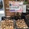 春ジャガイモの種芋が入荷しました！