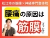 「【松江の整体院】腰痛は筋膜(ファシア)が原因｜硬くなった筋膜をほぐす方法とは？｜筋膜専門の理学療法士が徹底解説！【出雲・米子・整体・根本改善】」