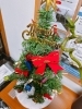 「教室にクリスマスツリーが登場！冬期講習も受付中です」