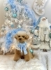 ナリちゃん「2025 Merry Xmas🎄」