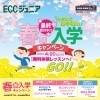 新年度春の入学キャンペーンのお知らせ🌸 | ECCジュニア江南前飛保教室