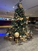 「クリスマス撮影もお任せください🎄松山のレンタルスタジオ」