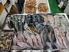 「📣本日のお魚情報🐟」