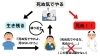 「生存者バイアス」