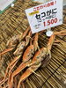 「【漁期終了迫る】12月31日まで！旬のセコガニ500円～＆地酒で京丹後の冬を堪能」