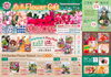 「＼＼ 歳末 Flower gift ／／✨✨毎年恒例の歳末SALE✨✨」