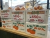 「紀州みかん入荷のお知らせ—芳養の里から直送、ノーワックスです🍊」
