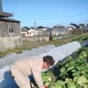【松山市中野町】就労継続支援B型の見学・体験を受付中 │ 送迎あり・半日からOK