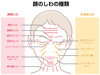 顔のしわの種類「即効性がある美容治療とは？　美容皮膚科のドクターと看護師の対話」