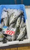 「京都府産の真アジが入荷！調理用1尾350円（税込）」