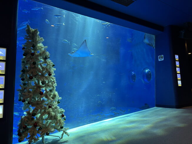 のとじま水族館「日本海側最大規模の水族館のとじま水族館を訪問/水槽レンタルとメンテナンスのアクアデザインブルース/震災復興/」