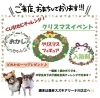 くじ引きにチャレンジできます🙆‍♀️「クリスマスイベント開催します🎄✨　週末イベント　くじ引き　スズキ自販愛媛　アリーナ川之江」