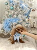 アイスちゃん「2025 Merry Xmas🎄」