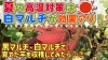 「温度ストレスを軽減！　白黒マルチを使用する事で、品質向上が見込めるサツマイモの収穫ができます。　たねのハシモトミヤ」