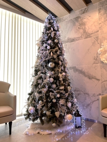 クリスマスツリー①「12月24日・25日はクリスマス🎄🎅」