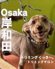 「南海本線和泉大宮駅徒歩1分のアクセス抜群な場所にある、看板犬くっき～がお出迎えするアットホームなトリミングサロンです。」