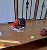 「その子らしさを大切にする学びの時間」