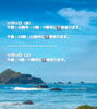 「🏝️ヤシの木接骨院の直近の空き枠🏝️」