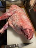 捌く前のウリちゃんです、肉質最上級！！「サプライズ入荷のお知らせです！」