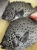「入荷です」