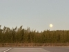 12月5日のスーパームーン🌕「流星群を観察しよう⭐」