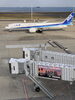 羽田空港で航空機を堪能「羽田空港で飛行機見学！ANA787を間近で堪能してきました」