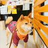 うめちゃん「今日のお友達」