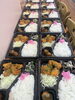 今日の配達日替わり弁当「おはようございます。」