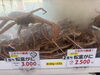 「＼【緊急値下げ】年末年始の食卓を応援❗️約束通り松葉ガニのお値段を下げました❗️／」