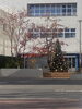 街はクリスマスの準備です。「群馬県公安委員会届出済み。あなたのお悩み事必ず解決致します。ご連絡お待ちしています。」